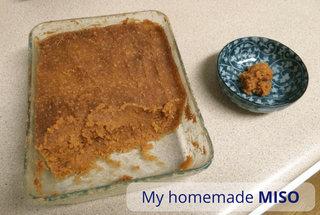 what is miso paste