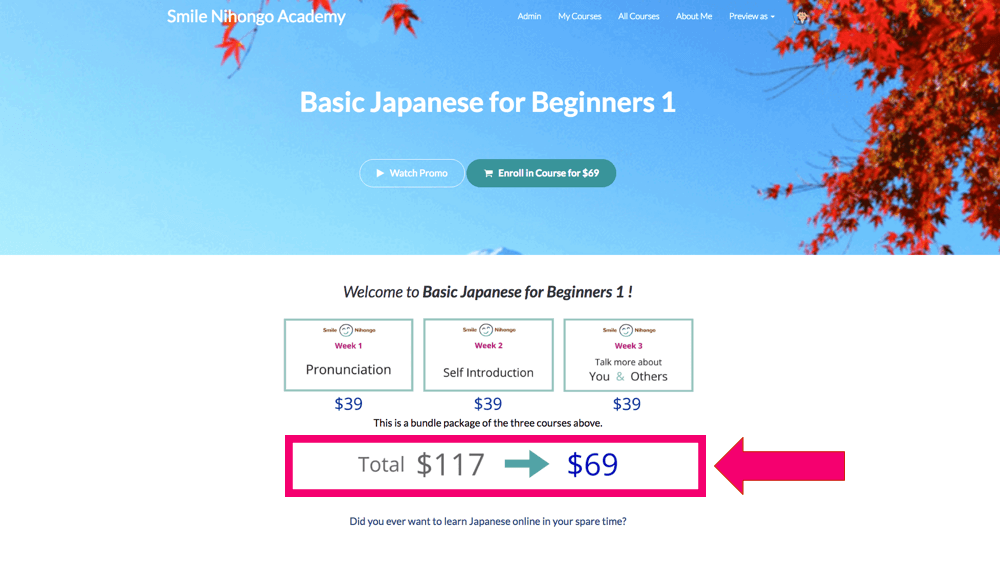 learn Japanese language online